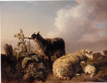 unknow artist Sheep 082 France oil painting art